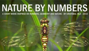 Nature_by_Numbers_C-535880831-large